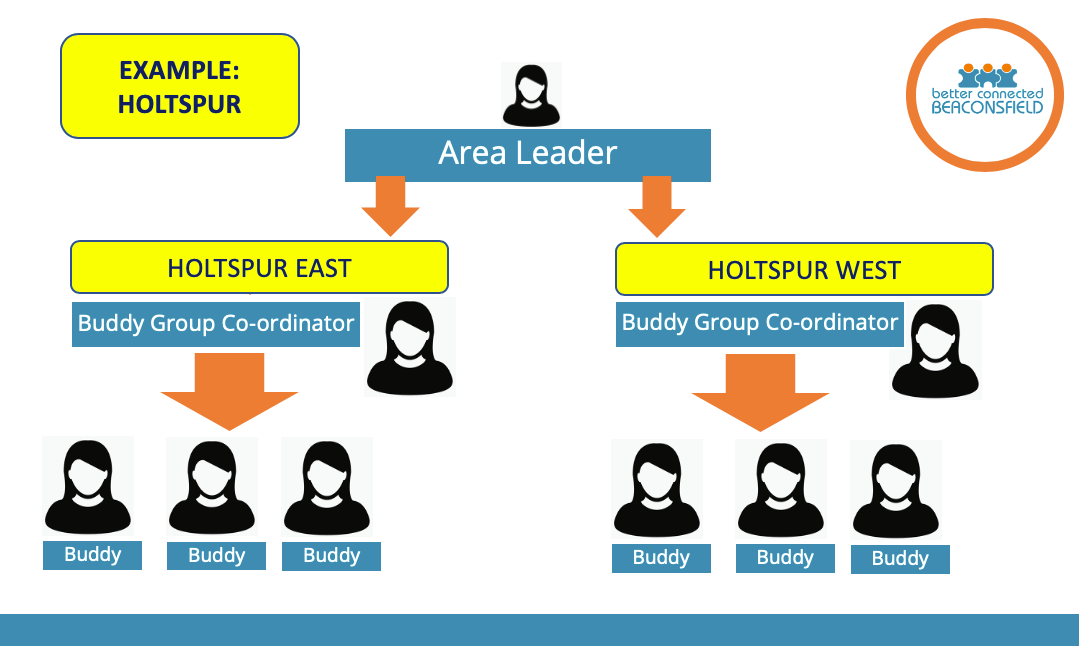 Diagram of Buddy Network